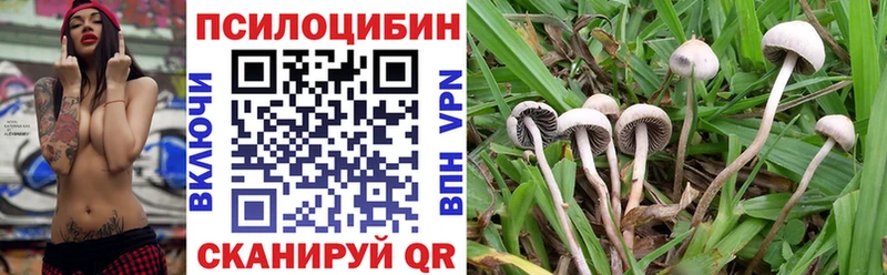 Псилоцибиновые грибы MAGIC MUSHROOMS  где купить   omg ONION  Раменское 