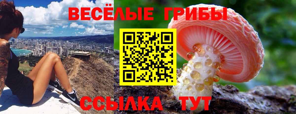 Галлюциногенные грибы Psilocybe Раменское