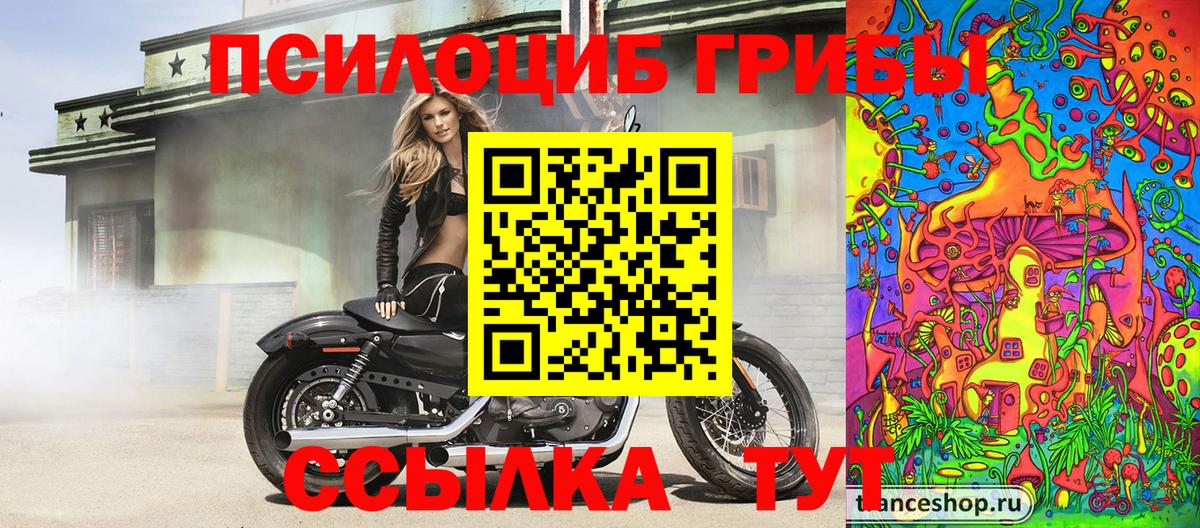 Псилоцибиновые грибы Psilocybe  Вход с VPN  купить  цена  Раменское 